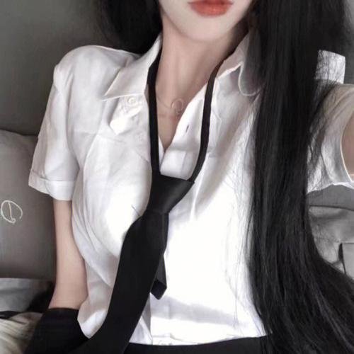白粉飞 第三季 封面